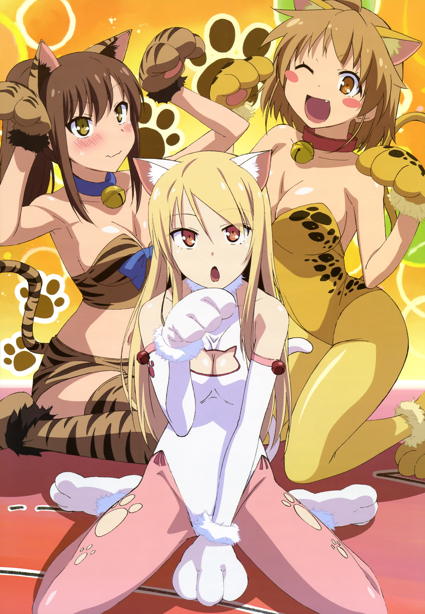 :o ;d absurdres animal_ears animal_print aoyama_nanami armpits arms_up bell bell_collar blonde_hair blush blush_stickers breasts brown_eyes brown_hair cat_cutout cat_ears cat_tail cleavage cleavage_cutout collar fake_animal_ears fang fujii_masahiro halterneck highres jingle_bell kamiigusa_misaki kittysuit large_breasts leopard_print leotard long_hair medium_breasts midriff multiple_girls navel nyantype official_art one_eye_closed open_mouth pantyhose paw_pose paws pink_legwear ponytail red_eyes sakura-sou_no_pet_na_kanojo scan shiina_mashiro short_hair sitting smile tail tiger_print tiger_tail wariza wavy_mouth yellow_eyes yellow_legwear