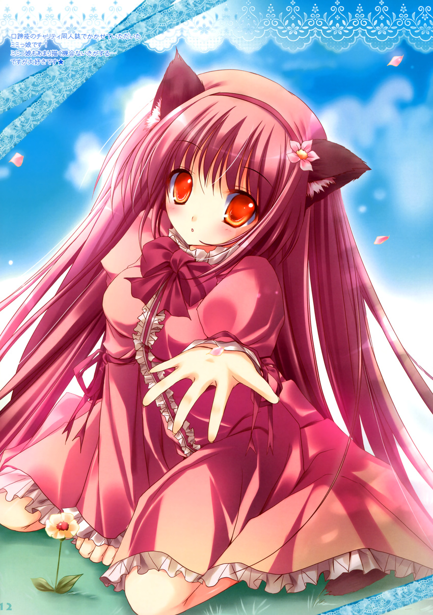 absurdres animal_ears cat_ears copyright_request dress flower highres kneeling long_hair mizusawa_mimori orange_eyes outstretched_hand pink_hair solo very_long_hair