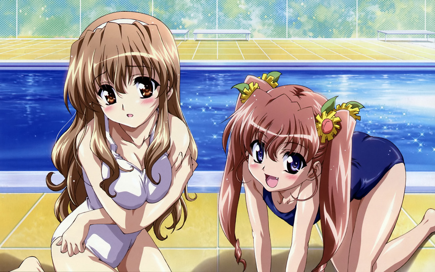 :d absurdres all_fours bench blue_eyes blue_swimsuit blush breast_hold breast_squeeze breasts brown_eyes brown_hair chain-link_fence cleavage crossed_arms day detexted fang fence flower hair_flower hair_ornament hairband highres ishikawa_masakazu large_breasts leaning_forward long_hair looking_at_viewer multiple_girls nogizaka_haruka nogizaka_haruka_no_himitsu nogizaka_mika non-web_source one-piece_swimsuit open_mouth outdoors perspective pool poolside school_swimsuit siblings sisters small_breasts smile sparkle sunflower swimsuit third-party_edit tile_floor tiles twintails wet white_swimsuit