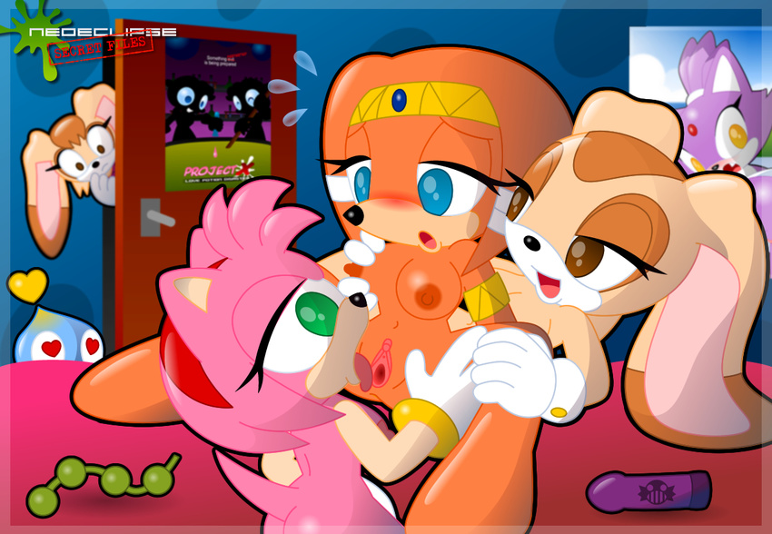 amy_rose cheese_the_chao cream_the_rabbit neoeclipse sonic_team tikal_the_echidna vanilla_the_rabbit