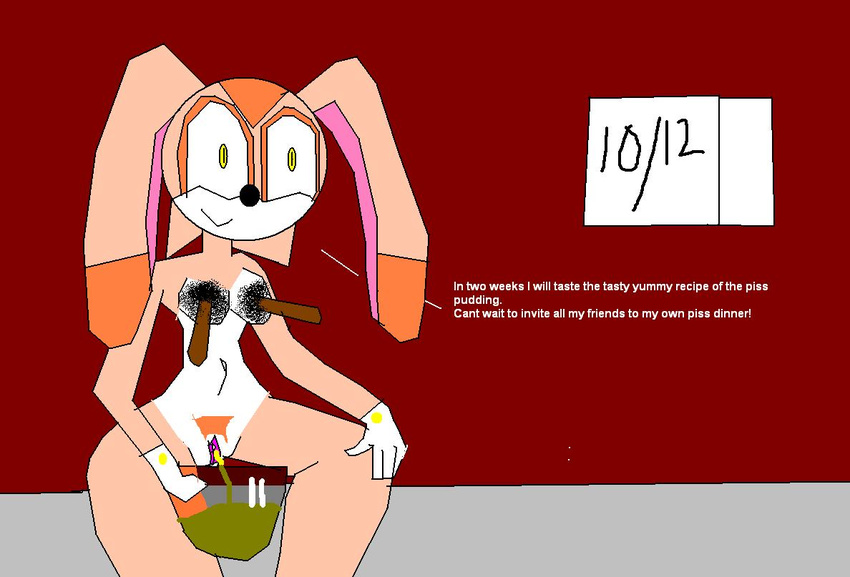 cream_the_rabbit sonic_team tagme toonsex