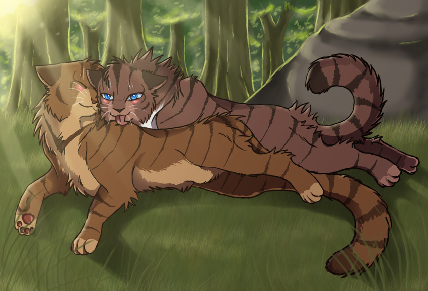 blue_eyes blush brambleclaw brambleclaw_(warriors) cat couple cuddling cute embrace feline feral forest gay grass hawkfrost hawkfrost_(warriors) incest licking love male mammal nature nuzzling outside rock scenery sibling sunlight tongue tree warriors_(cats)