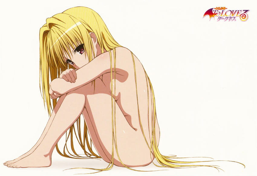barefoot blonde_hair breasts crossed_arms feet full_body highres konjiki_no_yami leg_hug long_hair nude official_art red_eyes scan simple_background sitting small_breasts solo to_love-ru white_background