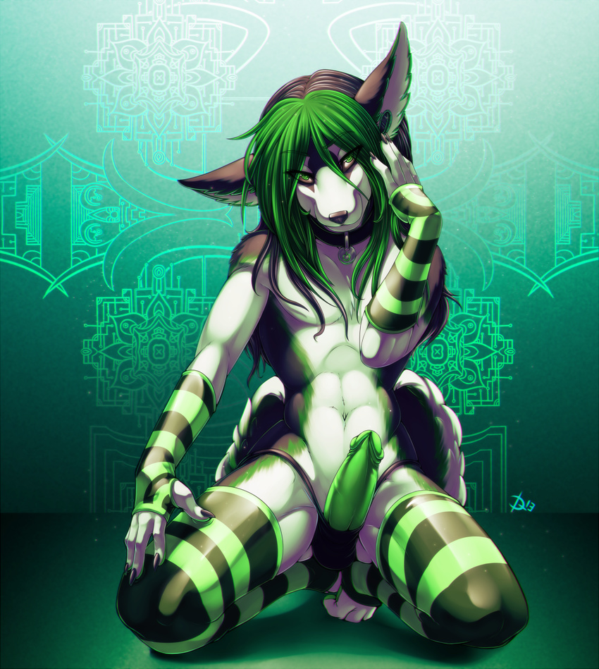 abstract_background anthro arm_warmers black_fur black_hair black_nose bulge canine claws clothed clothing collar dodedo dog ear_piercing erection fingerless_gloves flesh_tunnel fur gauged_ear girly gloves green_eyes green_fur green_hair green_penis hair hindpaw husky james_(confrontedwolf) kneeling leg_warmer legwear long_hair looking_at_viewer male mammal multi-colored_hair navel panties paws penis piercing power_symbol skimpy solo stockings stripes thong toeless_socks uncut underwear white_fur wolf