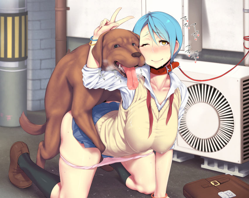 air_conditioner animal bad_id bad_pixiv_id bag bdsm bestiality blue_hair blush bondage bound breasts clothed_sex collar dog doggystyle heart huge_breasts kneehighs leash looking_at_viewer messenger_bag one_eye_closed open_mouth original panties panty_pull pink_panties school_bag school_uniform sex short_hair shoulder_bag slave smile socks solo_focus sweat underwear v vaginal vest xxzero yellow_eyes