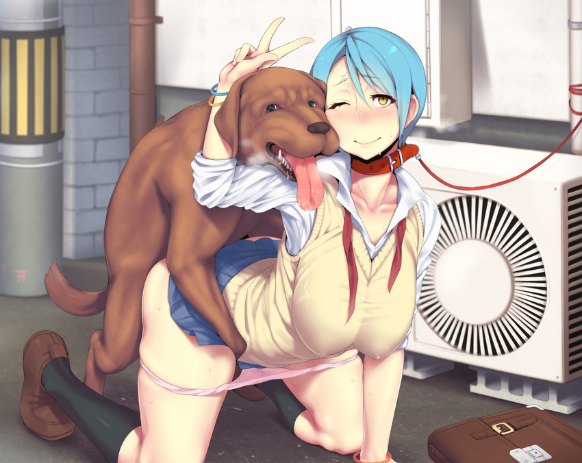 1girl air_conditioner all_fours bag bestiality blue_hair blush breasts collar dog doggystyle footwear heart huge_breasts kneehighs kneeling leash messenger_bag open_mouth panties panty_pull pink_panties school_uniform sex short_hair shoulder_bag socks sweat underwear v vaginal vest wink xxzero yellow_eyes zero_(artist)