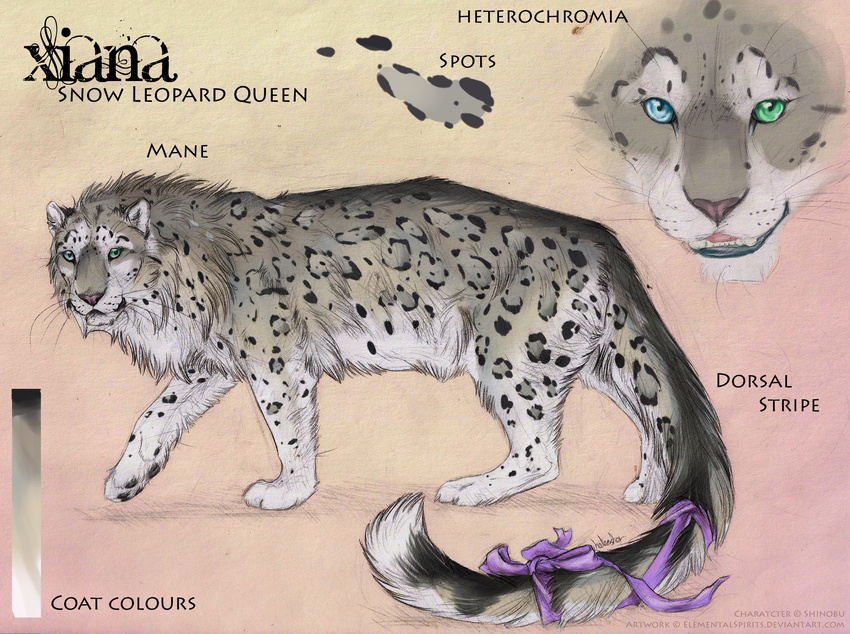 feline female feral fluffy heterochromia leopard long_tail looking_at_viewer mammal mane model_sheet pawpads ribbons smile snow_leopard solo teeth whiskers xiana