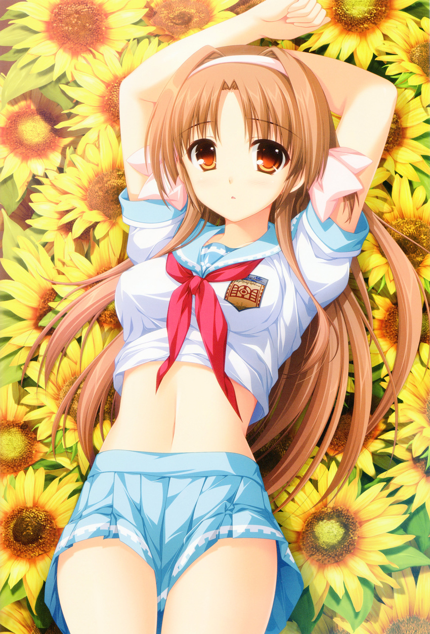 absurdres alpha_(yukai_na_nakamatachi) arms_behind_head arms_up breasts brown_eyes brown_hair flower hair_intakes hairband headband highres lying medium_breasts midriff navel pleated_skirt saika_miina school_uniform serafuku sharin_no_kuni_himawari_no_shoujo sharin_no_kuni_yuukyuu_no_shounenshoujo shirt_lift skirt sunflower