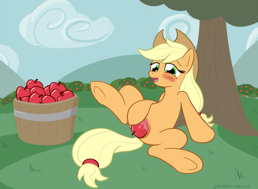 apple applejack_(mlp) blush equine female freckles friendship_is_magic fruit horse my_little_pony pony pussy whatsapokemon