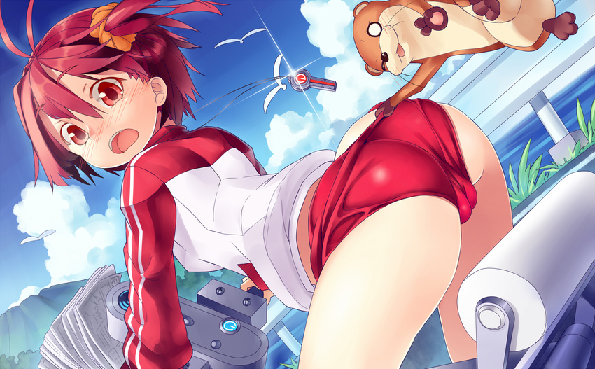 animal ass bird cameltoe cloud day hair_ornament highres hover_bike isshiki_akane jacket jewelry looking_at_viewer mikan_(bananoha) open_mouth paper pendant pulled_by_another red_eyes red_hair riding short_hair short_shorts shorts shorts_pull sky solo track_jacket twintails uso-kun vividred_operation