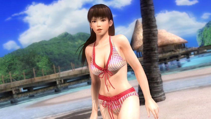 1girl 3d beach bikini black_hair breasts dead_or_alive dead_or_alive_5 highres large_breasts lei_fang midriff ocean official_art palm_tree swimsuit tecmo tree wallpaper