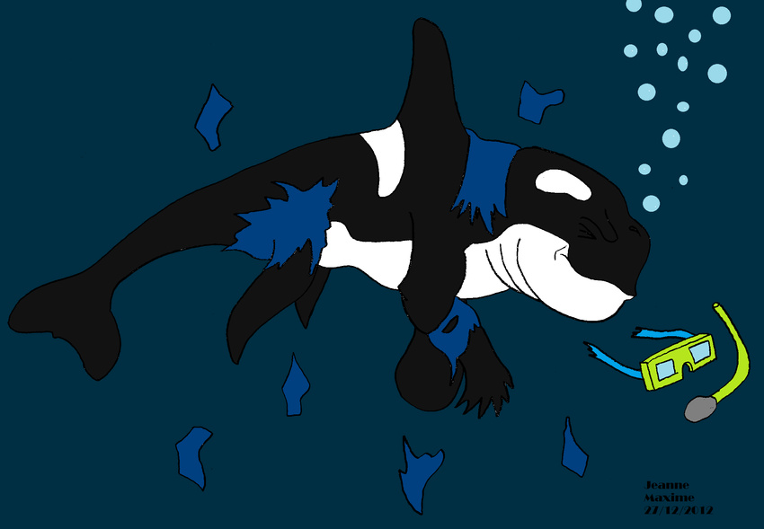 cetacean feral male mammal marine maxime-jeanne orca transformation whale