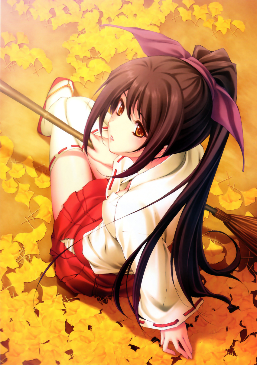 absurdres arm_support bamboo_broom bangs broom brown_eyes brown_hair downblouse from_above from_behind ginkgo hair_ribbon hakama_skirt highres holding holding_broom huge_filesize japanese_clothes leaf lips long_hair long_sleeves looking_back looking_up miko on_ground original panties parted_lips ponytail purple_ribbon ribbon ribbon-trimmed_legwear ribbon-trimmed_sleeves ribbon_trim sandals scan sitting solo sugina_miki thighhighs underwear white_panties