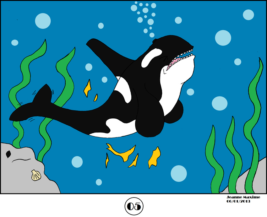 comic feral human male mammal marine maxime-jeanne orca transformation whale