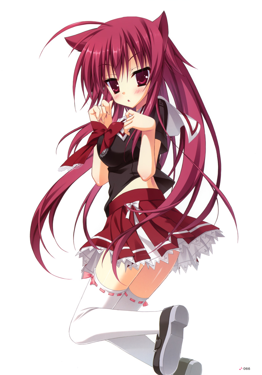 absurdres animal_ears cat_ears fel_(ore_to_ichino_no_game_doukoukai_katsudou_nisshi) highres legs long_hair moribe_(rabumanyo) ore_to_ichino_no_game_doukoukai_katsudou_nisshi paw_pose red_eyes red_hair school_uniform solo thighhighs white_legwear