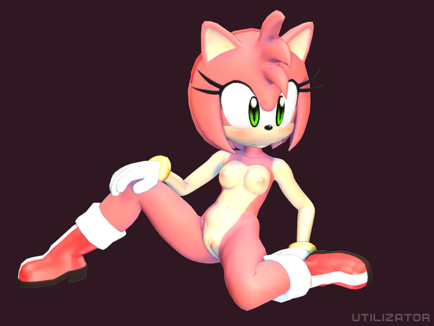 amy_rose breasts female pussy sega solo sonic_(series) utilizator