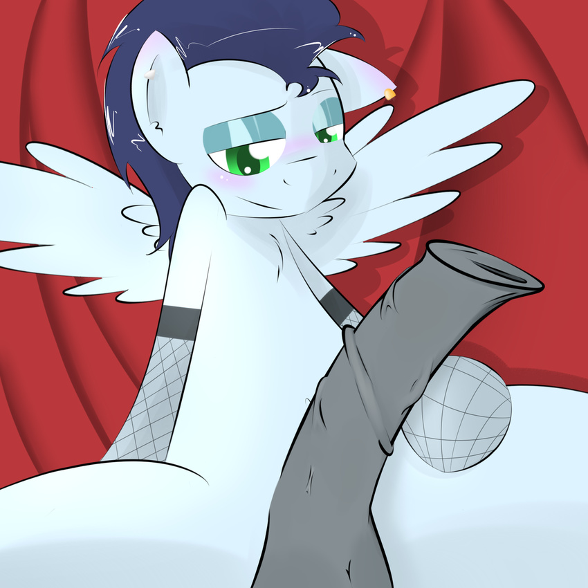 blush ear_piercing equine friendship_is_magic girly horsecock kryptchild legwear male mammal my_little_pony navel_piercing pegasus penis piercing soarin_(mlp) solo stockings wings wonderbolts_(mlp)