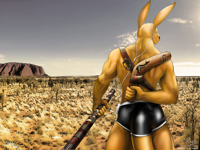 back_to_viewer biceps boomerang clothing didgeridoo earbuds earphones kangaroo male mammal marsupial muscles nexus outback scabbard semple shorts