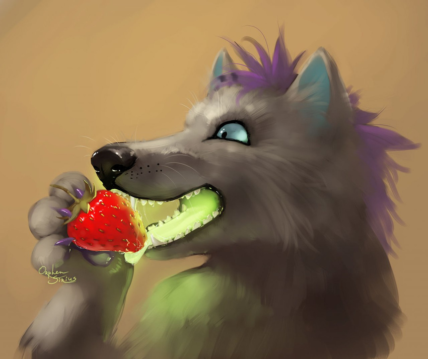 ambiguous_gender canine eating food fur grey_fur hair mammal orphen_sirius purple_hair solo strawberry