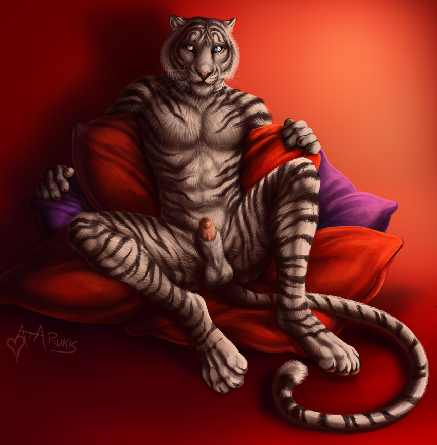 4_toes absurd_res anthro balls barbs blue_eyes claws collar dhaval digitigrade feline fur half-erect hi_res hindpaw lying male mammal nude on_back paws penis pillow rukis sheath sitting solo spread_legs spreading tiger toes white_tiger