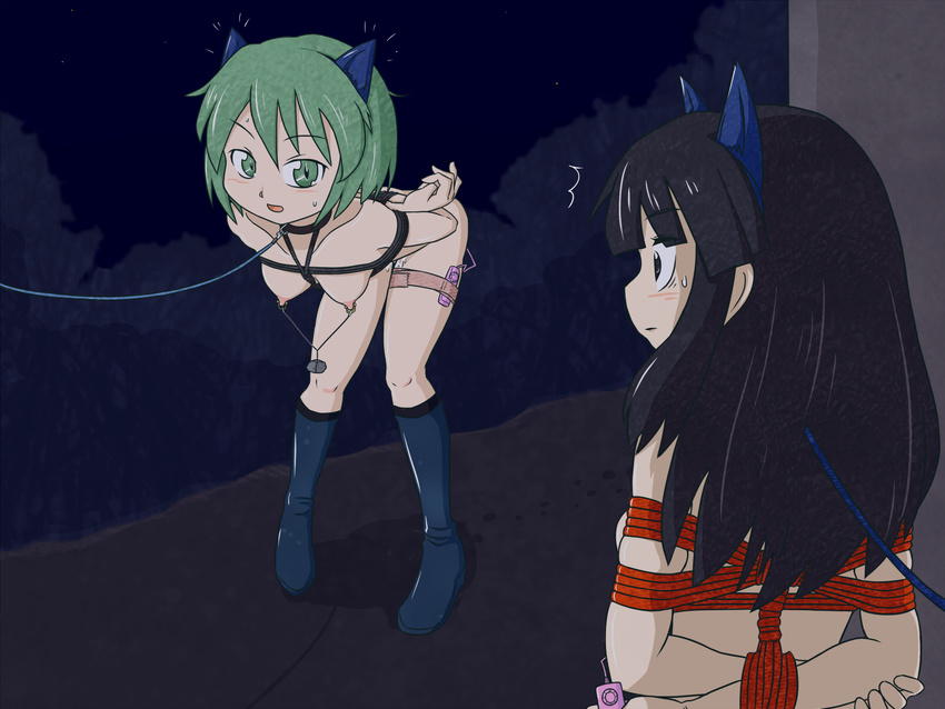 animal_ears bad_id bad_pixiv_id bdsm black_eyes black_hair blush bondage bound breasts collar demodori_(korokke) green_eyes green_hair hanging_breasts highres leash linked_piercing long_hair multiple_girls night nipple_piercing nipple_torture nipples outdoors piercing pussy_juice rope shibari short_hair slave small_breasts vibrator