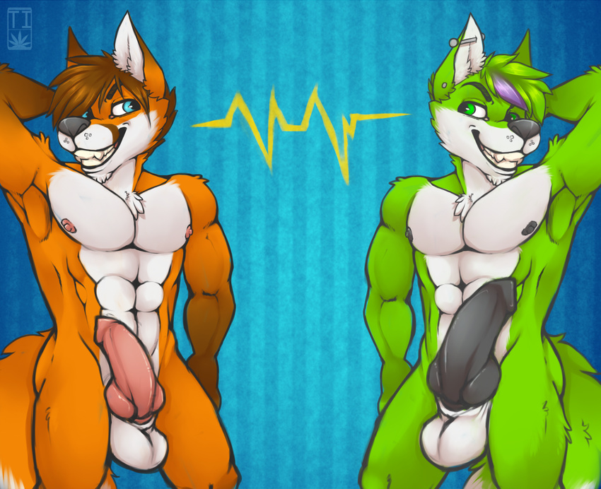 abs abstract_background animal_genitalia anthro arm_up balls black_nose black_penis blue_eyes brown_hair canine canine_penis duo ear_piercing erection eye_contact fox fur green_eyes green_fur green_hair grin hair knot male mammal muscles nipples nude orange_fur penis piercing smile spazzyhusky standing wallpaper