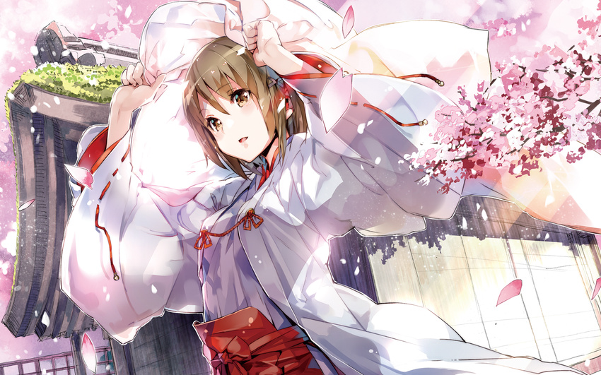 amatsume_akira brown_eyes brown_hair cherry_blossoms chihaya_(clothing) flower hair_ornament hairpin highres japanese_clothes miko petals ribbon-trimmed_sleeves ribbon_trim short_hair solo wallpaper yosuga_no_sora yuugen