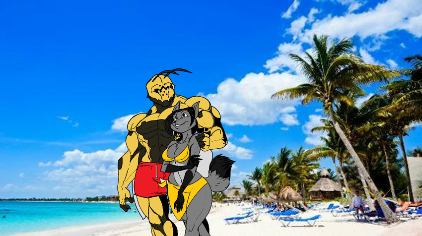 arthropod beach bulge clothing couple female insect ivan ivan_(character) ktfww male muscles pecs seaside straight unknown_artist wasp
