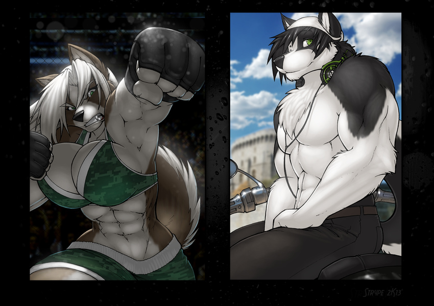abs bandanna biceps black_hair breasts brown_fur building camo canine chest_tuft cleavage clothed clothing cloud duo female fur gloves green_clothing green_eyes grey_fur hair headphones looking_at_viewer male mammal matte_background mirror motorcycle multicolor_fur muscles muscular_female piercing punch reflection side_by_side sitting skimpy sky smile snarling strype teeth tuft two_tone_fur white_fur white_hair