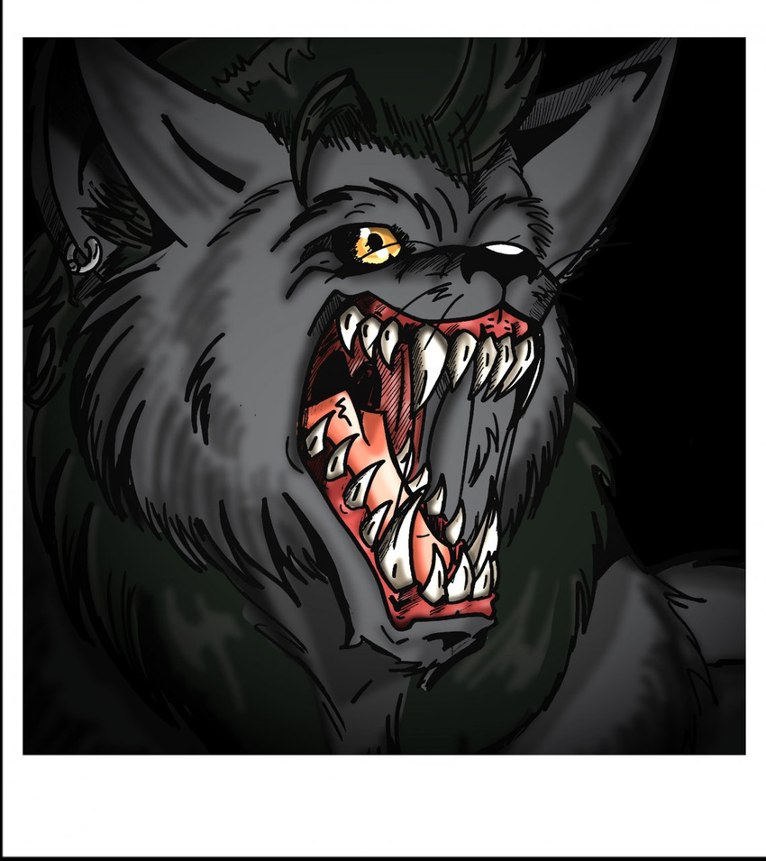 anthro canine fur hair male mammal muscles rex_equinox were werewolf wolf