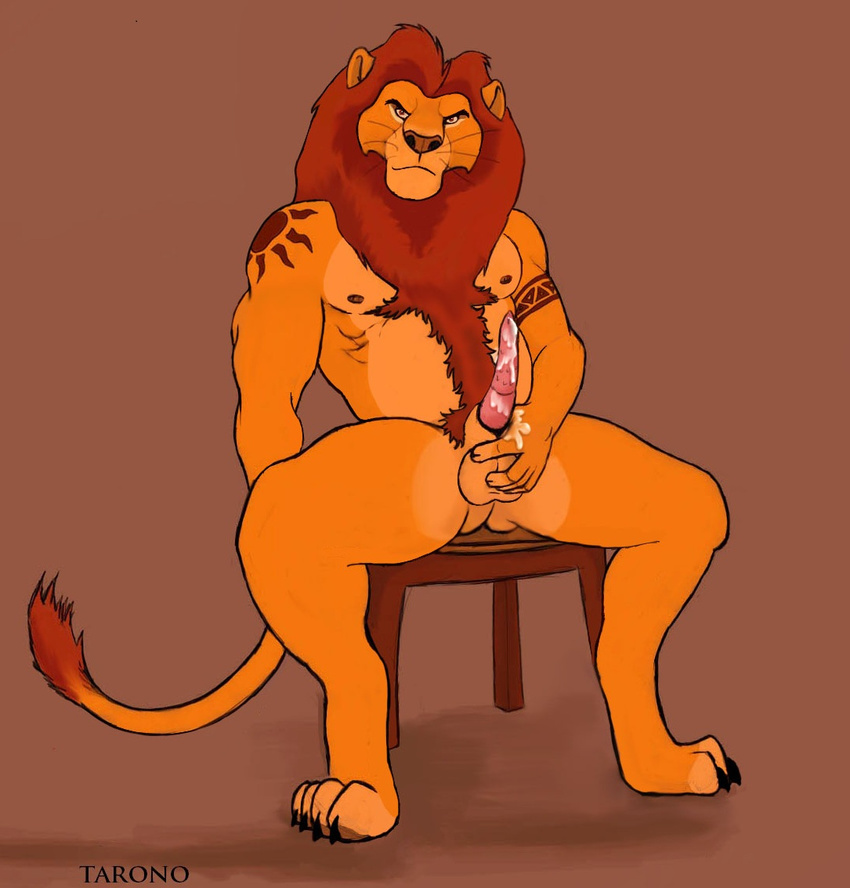 animal_genitalia anthro anthrofied balls barbs chair cum disney erection feline feline_penis lion looking_at_viewer male mammal mane mufasa muscles nude penis plain_background sitting solo tarolyon tattoo the_lion_king