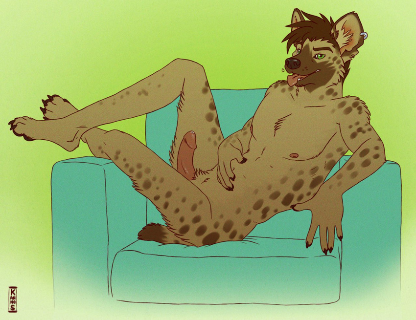 brown_fur brown_hair chair claws erection fur gay green_eyes hair hindpaw humanoid_penis hyena kannos male mammal nude paws penis piercing plantigrade solo spotted_hyena toes tongue tongue_out