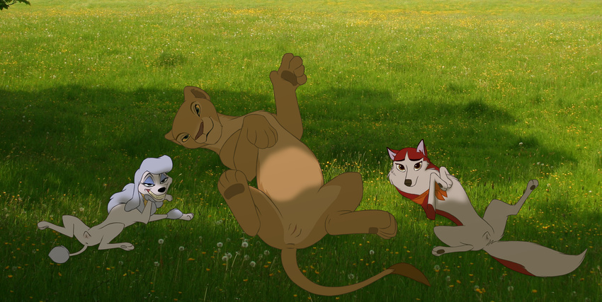 anatomically_correct_pussy animal_genitalia anus balto_(film) canine canine_pussy disney dog feline feline_pussy female feral georgette jenna lion lying mammal nala oliver_and_company on_back outside pussy spread_legs spreading the_giant_hamster the_lion_king