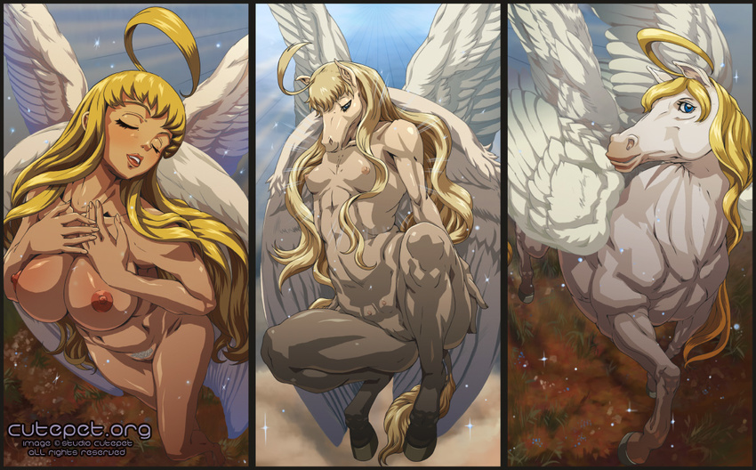 angelissa anthro big_breasts blonde_hair blue_eyes breasts curly_hair day daytime dirt equine eyes_closed female feral floating fur grass hair hooves horse human human_feet light_skin long_hair looking_at_viewer looking_down magic mammal mane muscles muscular_female navel nipples nude open_mouth outside pegasus plantigrade pussy sky snout spread_legs spreading standing studio_cutepet teats transformation white_fur wings