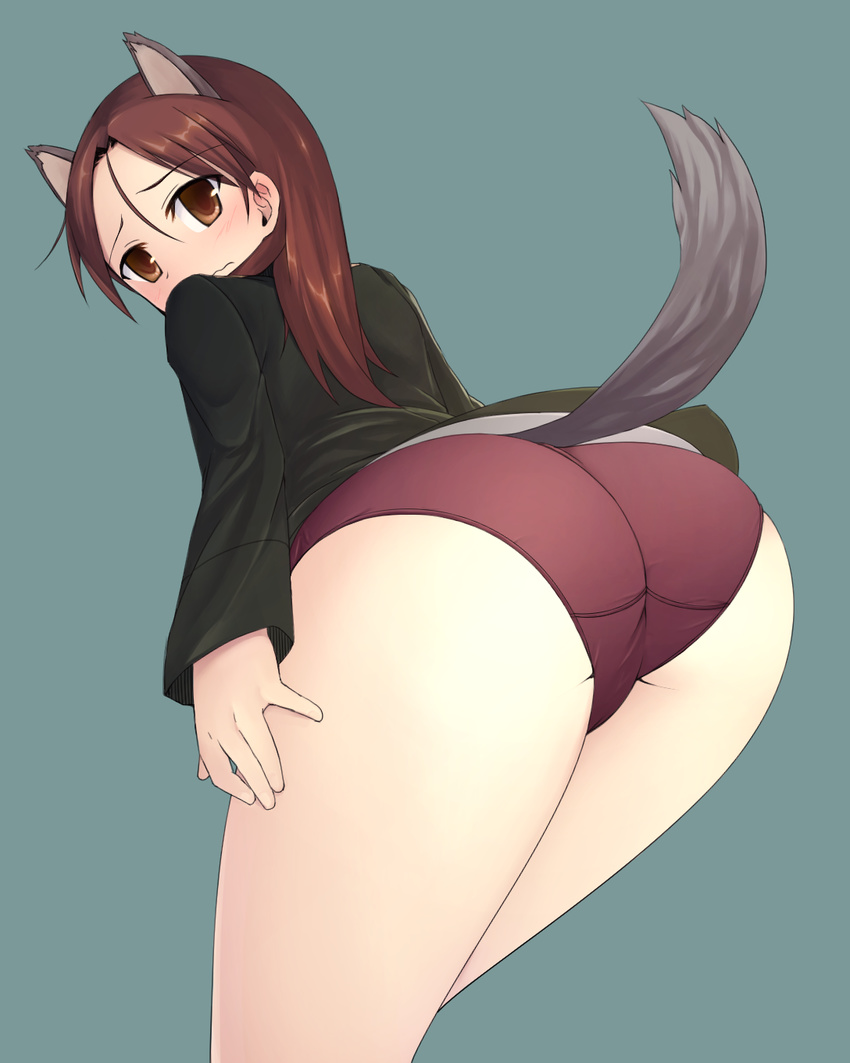 animal_ears ass blue_background brown_hair dog_ears dog_tail from_behind highres leaning_forward long_hair looking_back military military_uniform minna-dietlinde_wilcke panties red_panties simple_background solo strike_witches tail thighs underwear uniform urepito_honke wavy_mouth world_witches_series