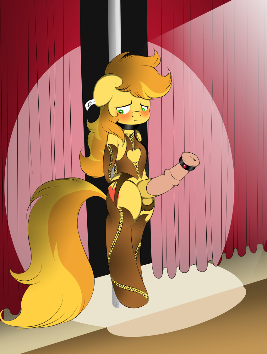 assless_chaps balls blush braeburn_(mlp) collar ear_tag equine erection friendship_is_magic green_eyes hair horse horsecock leather long_hair male mammal my_little_pony panties penis pole shy solo stage underwear v-d-k