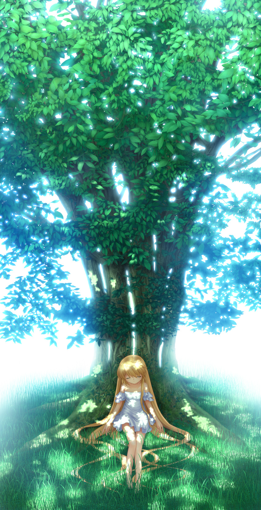 absurdres against_tree blonde_hair branch closed_eyes collarbone dappled_sunlight day detached_sleeves dress frilled_sleeves frills game_cg giant_tree grass highres hinoue_itaru leaf long_hair nakatsu_shizuru nature official_art outdoors plant rewrite shadow sitting sleeveless sleeveless_dress smile solo spoilers sundress sunlight tree tree_branch tree_shade under_tree very_long_hair white_dress