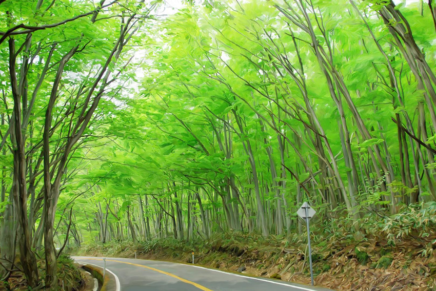 forest highres nakazawa_noboru nature no_humans photorealistic road road_sign scenery sign tree