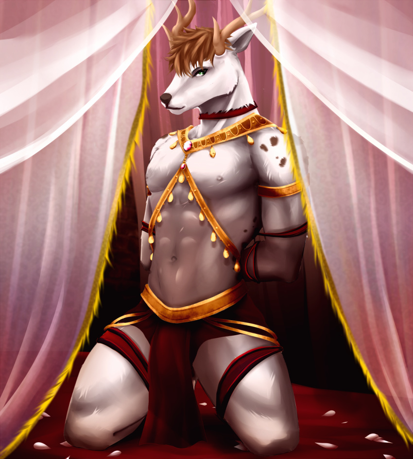 2019 abs anthro antlers athletic black_nose bound brown_hair brown_horn cervine clothed clothing curtains digital_media_(artwork) flower_petals front_view fur green_eyes hair hands_behind_back harness hi_res horn kneeling loincloth looking_at_viewer male mammal navel nipples pecs petals red_bottomwear red_clothing short_hair solo tipsycanvas white_fur