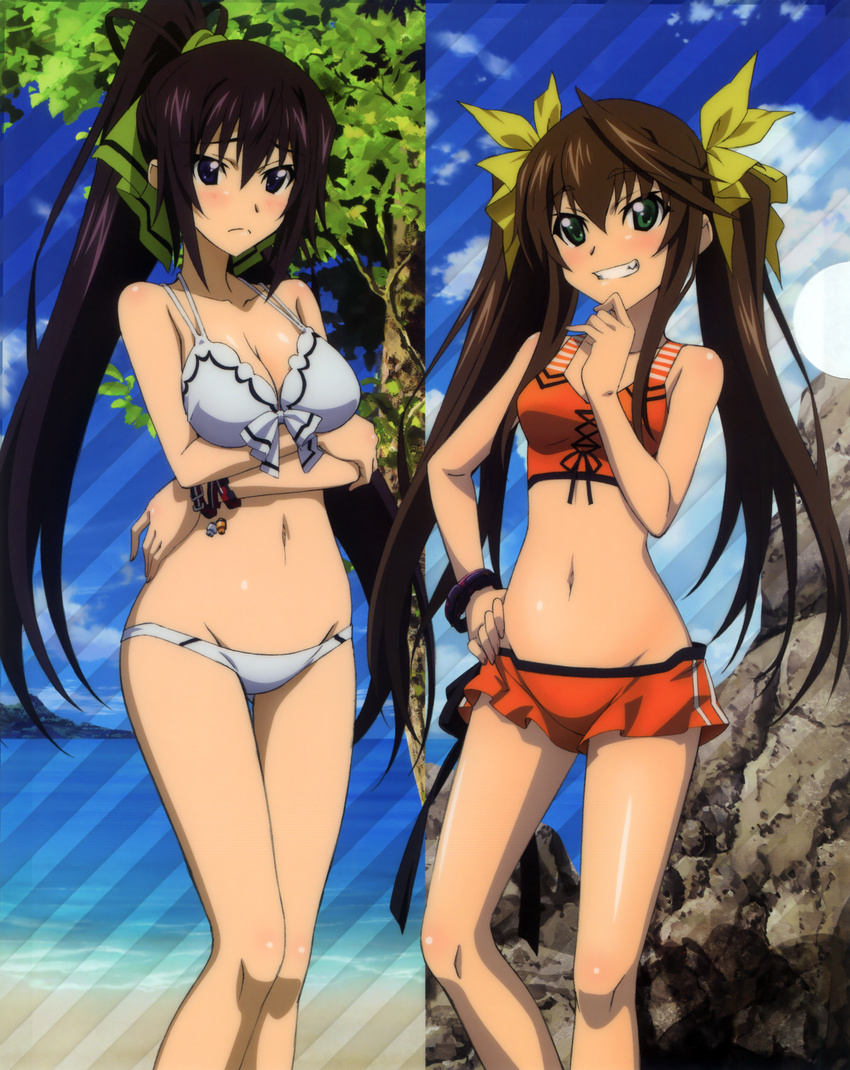 absurdres ass_visible_through_thighs bare_shoulders beach bikini blue_sky blush bracelet breast_hold breasts brown_hair cleavage day green_eyes grin groin hand_on_hip hashimoto_takayoshi high_ponytail highres huang_lingyin infinite_stratos jewelry knees long_hair medium_breasts multiple_girls navel official_art outdoors ponytail purple_eyes purple_hair scan shinonono_houki sky small_breasts smile split_ponytail swimsuit tankini thigh_gap thighs twintails very_long_hair white_bikini wristband