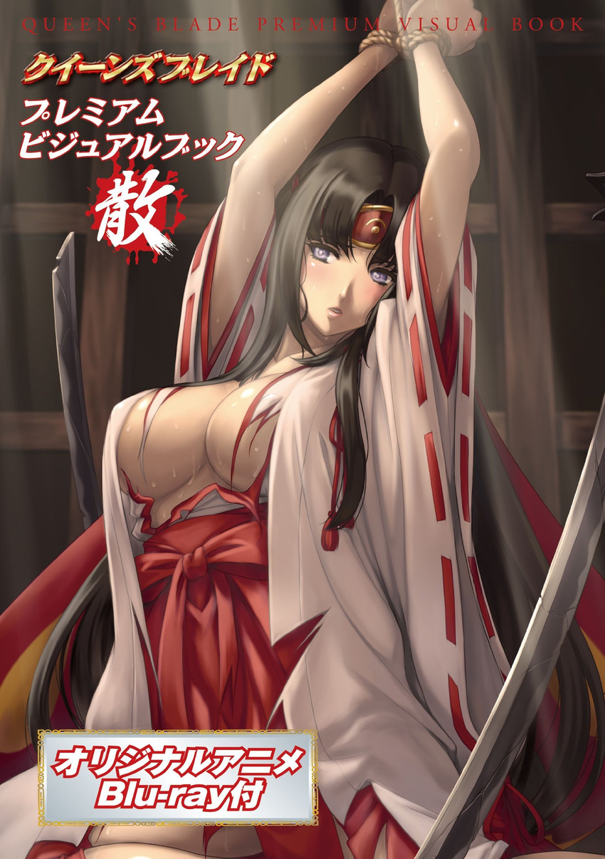 1girl absurdres black_hair blush breasts highres large_breasts long_hair open_clothes purple_eyes queen's_blade queen's_blade_rebellion queen's_blade queen's_blade_rebellion queen's_blade_vanquished_queens solo sword tied tied_up tomoe torn_clothes weapon