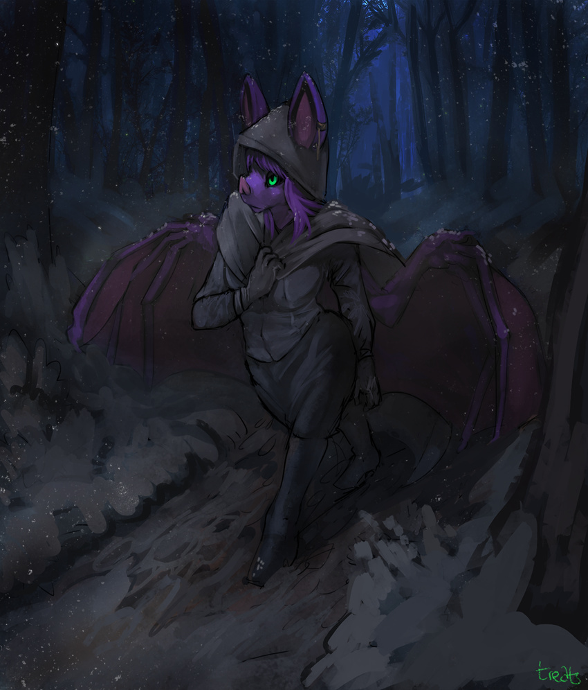 bat clothing cold female frown green_eyes hair outside purple_hair purple_skin smile snow solo treats wings winter