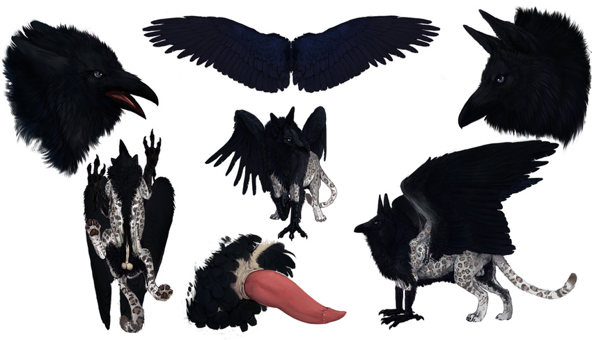 avian balls beak bird crow faunoiphilia feline feral gryphon jaguar male model_sheet paws penis raven solo talons tatchit white wings