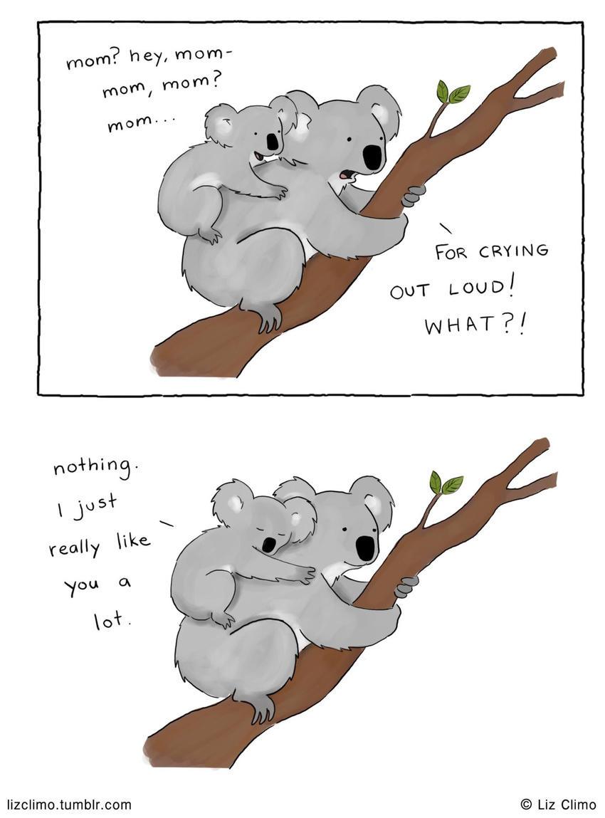 ambiguous_gender cub cute daww female fur grey_fur humor koala leaf liz_climo mammal marsupial mother parent tree young