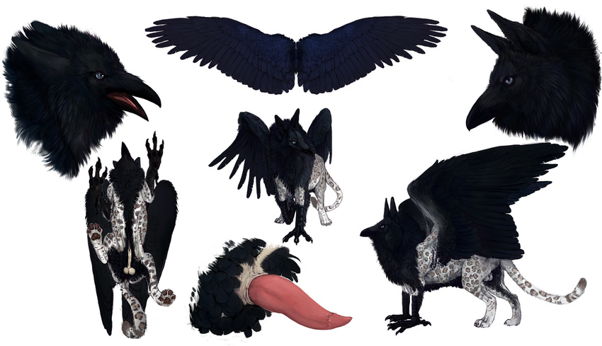 absurd_res balls barbs beak bird crow erection faunoiphilia feline feral grave_gryphon gryphon hi_res jaguar male mammal model_sheet nude paws penis plain_background raven solo talons tapering_penis tatchit white white_background white_jaguar wings