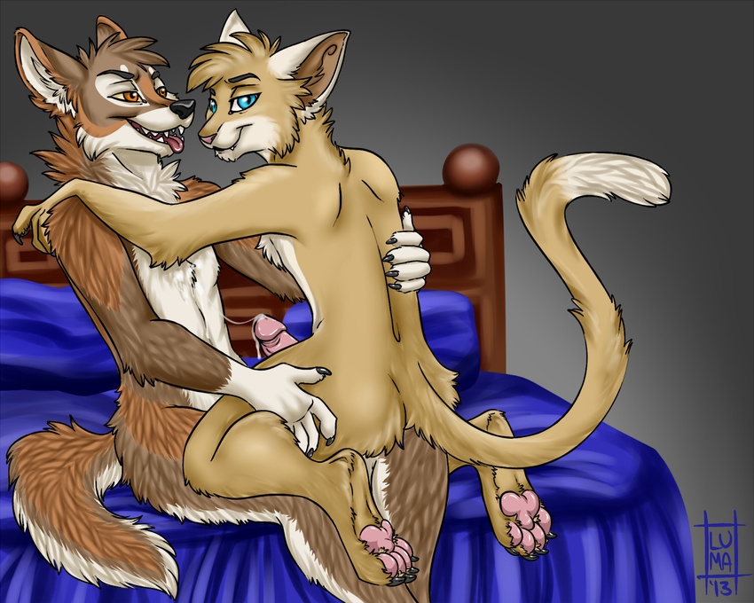 anthro avoid_posting bed canine cat coyote cum feline gay lumaberry male marsberry paws penis tongue