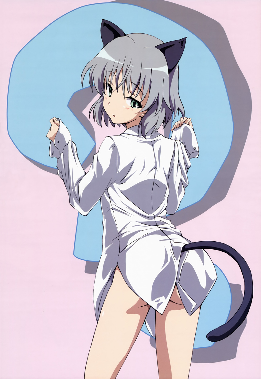 ? absurdres animal_ears ass bangs blush cat_ears cat_tail cowboy_shot dress_shirt from_behind green_eyes grey_hair highres long_sleeves looking_at_viewer looking_back naked_shirt non-web_source nyantype official_art parted_lips sanya_v_litvyak scan shirt short_hair sleeves_past_wrists solo standing strike_witches tail tamura_masafumi unbuttoned white_shirt world_witches_series