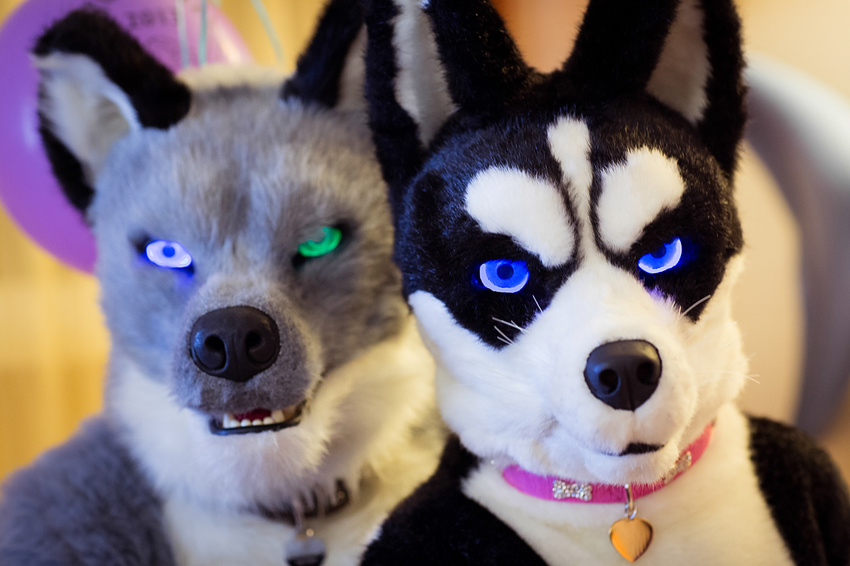 couple dog fursuit hug husky invalid_color light love mammal party
