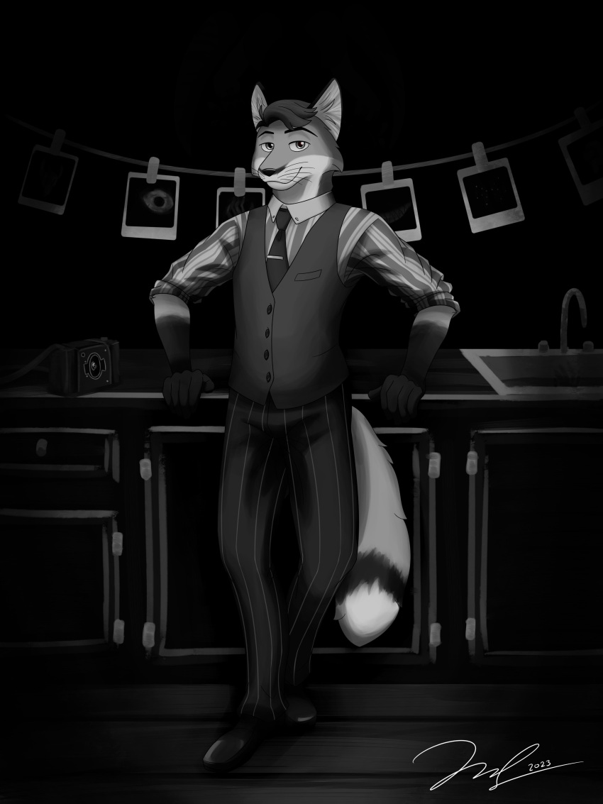 2022 5_fingers absurd_res anthro black_and_white black_arms black_ears camera canid canine clothed clothing creepy darkroom drawer dress_pants dress_shoes ear_tuft echo_(series) echo_project fingers fluffy fluffy_tail fox front_view hair hi_res james_foster leaning_on_counter looking_at_viewer male mammal monochrome monster murdoch_byrnes necktie ominous pattern_clothing pattern_shirt pattern_topwear photo red_fox seductive shirt signature sink slim_male smile smug solo standing striped_clothing striped_shirt striped_topwear stripes tail the_smoke_room topwear tuft vest whiskers