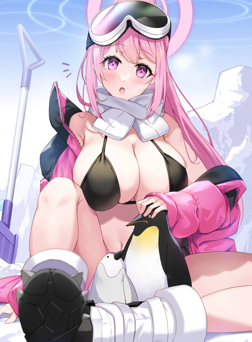 1girl animal bikini bird black_bikini blue_archive blush boots breasts cleavage day eimi_(blue_archive) eimi_(swimsuit)_(blue_archive) goggles goggles_on_head halo highres jacket large_breasts long_hair long_sleeves looking_at_viewer navel official_alternate_costume open_clothes open_jacket open_mouth outdoors penguin pink_eyes pink_hair pink_halo pink_jacket ponytail renka_(renkas) sideboob solo swimsuit white_footwear